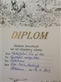 Vilspårs Diplom Ösa.jpg